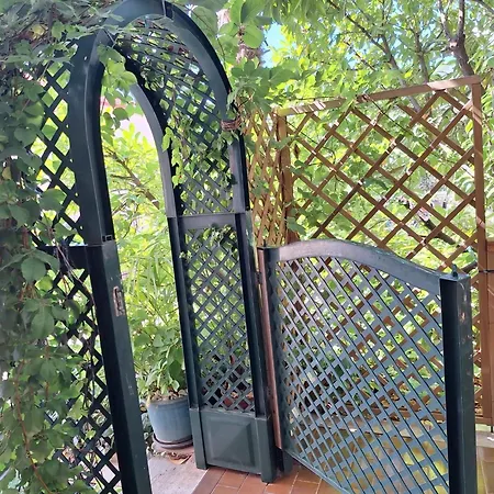 Biserka 特罗吉尔