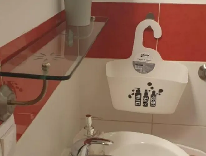 公寓 Biserka 特罗吉尔