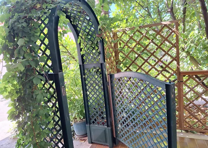 Biserka 트로기르